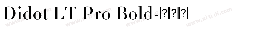 Didot LT Pro Bold字体转换